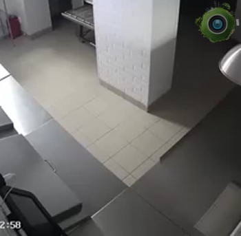 пицца