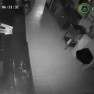 Додо пицца