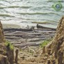 Все веб камеры Новосибирска
