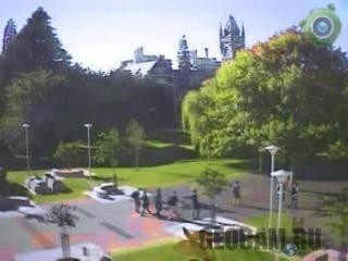 Веб-камеры университета «Отаго»