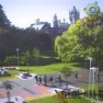 Веб-камеры университета «Отаго»