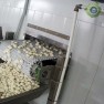 Ростовского мясокомбината: пельменный цех