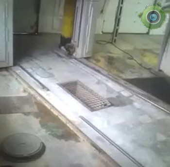 I Portal