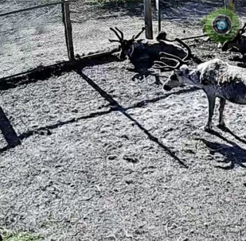 В Центре Арктического туризма в Нарьян-Маре