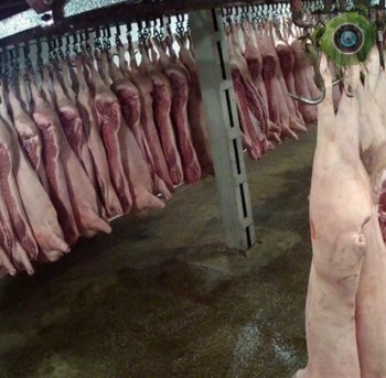 Ростовского мясокомбината: хранение сырья