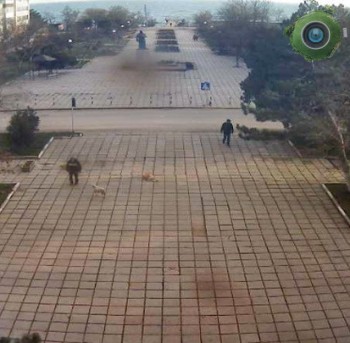 Центральная площадь поселка Приморский