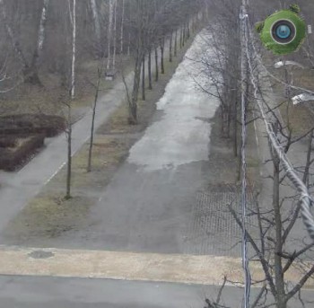 КВЦ Сокольники. Всепогодная лыжня