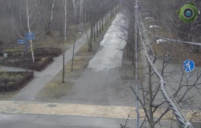 КВЦ Сокольники. Всепогодная лыжня