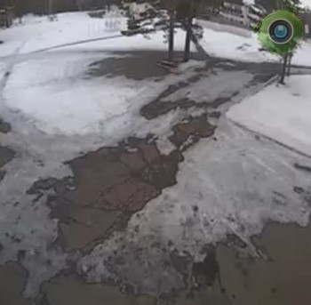 Центральная камера.