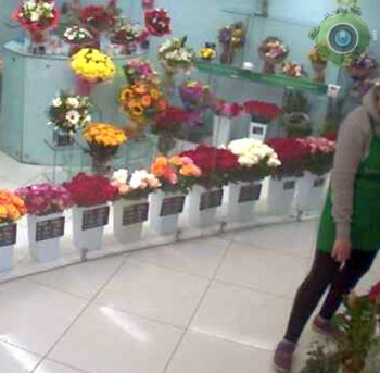 В павильоне Megaflowers в Омске