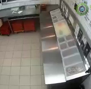 Dodo10-1