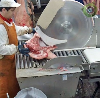 Ростовского мясокомбината: обвалка мяса
