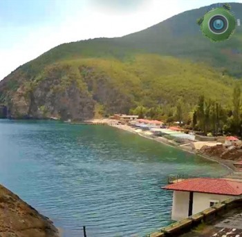Партенита