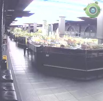 Web_cam_left