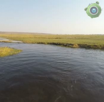 Африка: дикие животные у реки (округ Лайкипия, Центральная провинция, Кения)