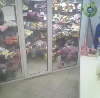 Витрина салона цветов FloveR