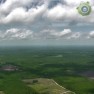 Небо с 300 м высоты с Уилмингтонской вышки (Уилмингтон, штат Северная Каролина, США)