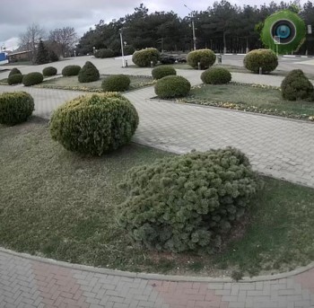 Стелла