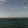 Вид на океан с плавучего маяка Frying Pan (56 км от косы Кейп-Фир, штат Северная Каролина, США)