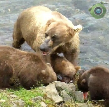 Водопада Брукс Фолс