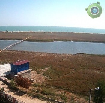 В заповедной зоне Степок в Кирилловке