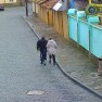 На Караимской улице