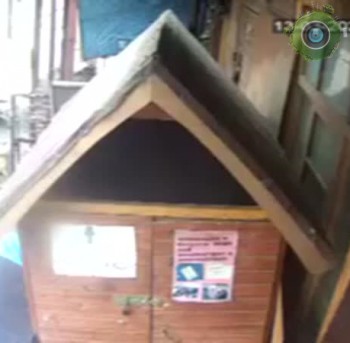 Kovcheg контейнер для бездомных