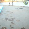 Парк Победы