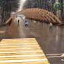 Парка «Сокольники»: Аллея арок