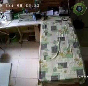 м-Семеновская -2