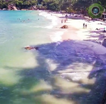 Отеля «Crystal Bay Beach Resort», Самуи