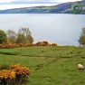 На озере Лох-Несс