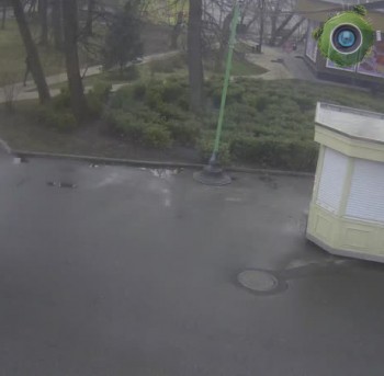 КВЦ Сокольники. Прокат. Сирень.