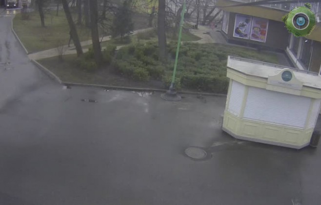 КВЦ Сокольники. Прокат. Сирень.