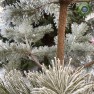 Все веб камеры Омска