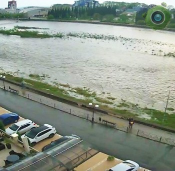 Отеля «Цитрус»
