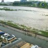 Отеля «Цитрус»