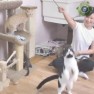 Служба Спасения Котят (Лос-Анджелес, штат Калифорния, США)