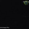 Веб-камера Голубицкой