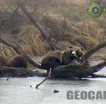 На Курильском озере