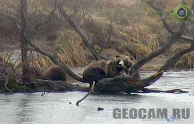 На Курильском озере