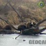 На Курильском озере